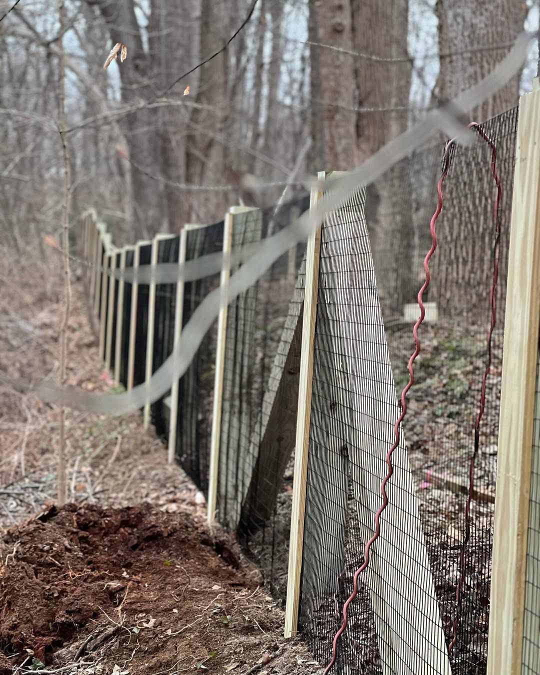 Fence in a wooded area; black netting secured by wooden posts.