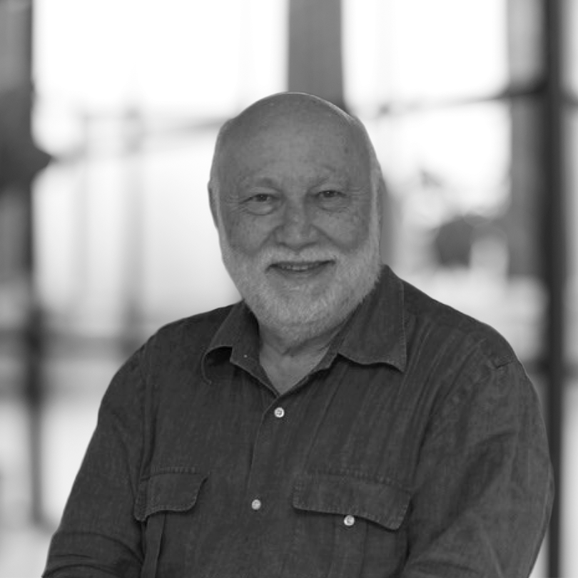 Domenico De Masi