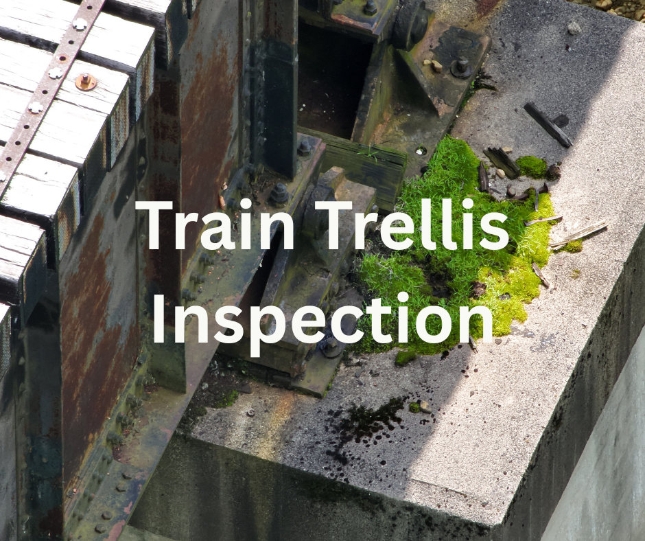 train trellis inspection