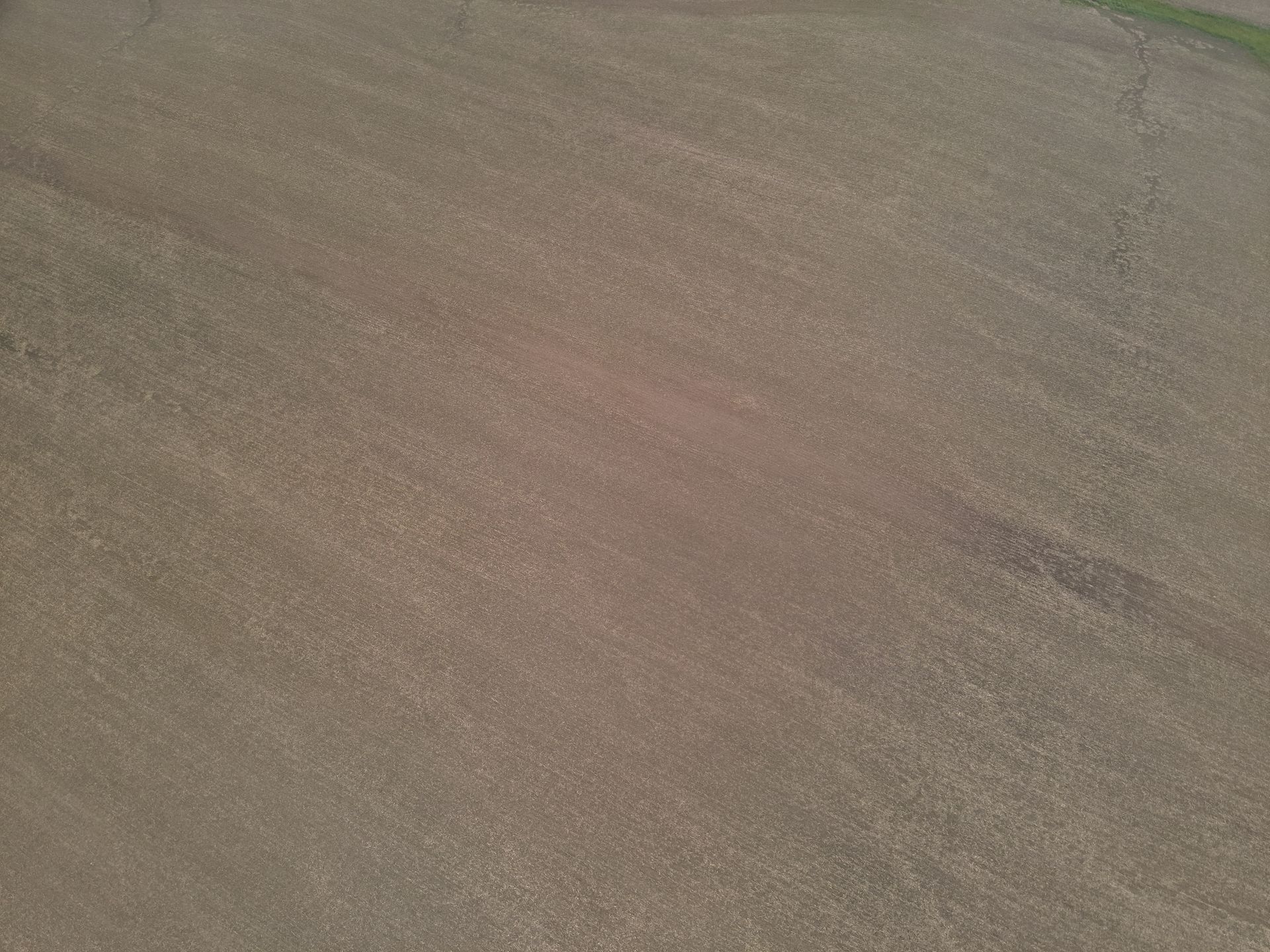 An aerial view of a dirt road going through a field.