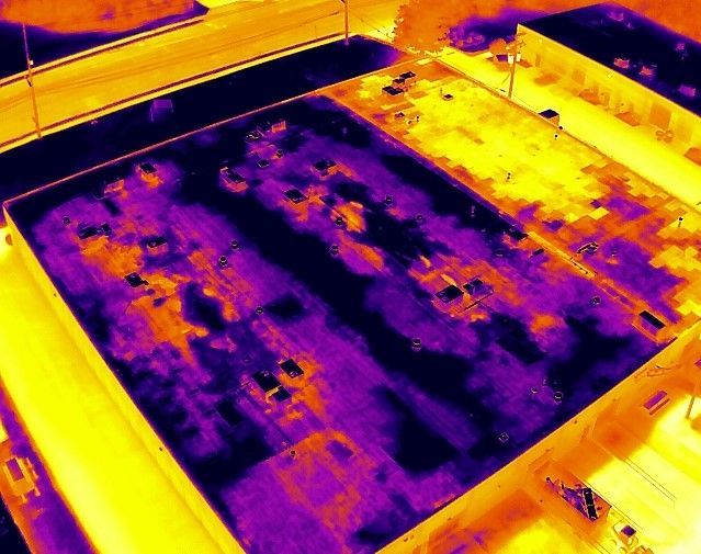 A purple and yellow thermal image of a swimming pool.