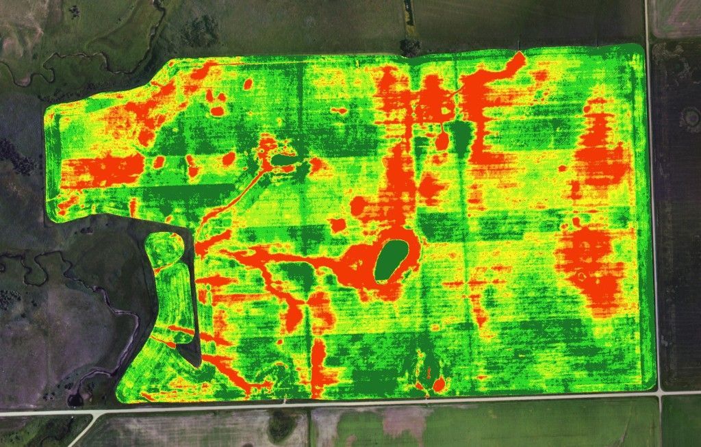 An aerial view of a field with a lot of plants in it.