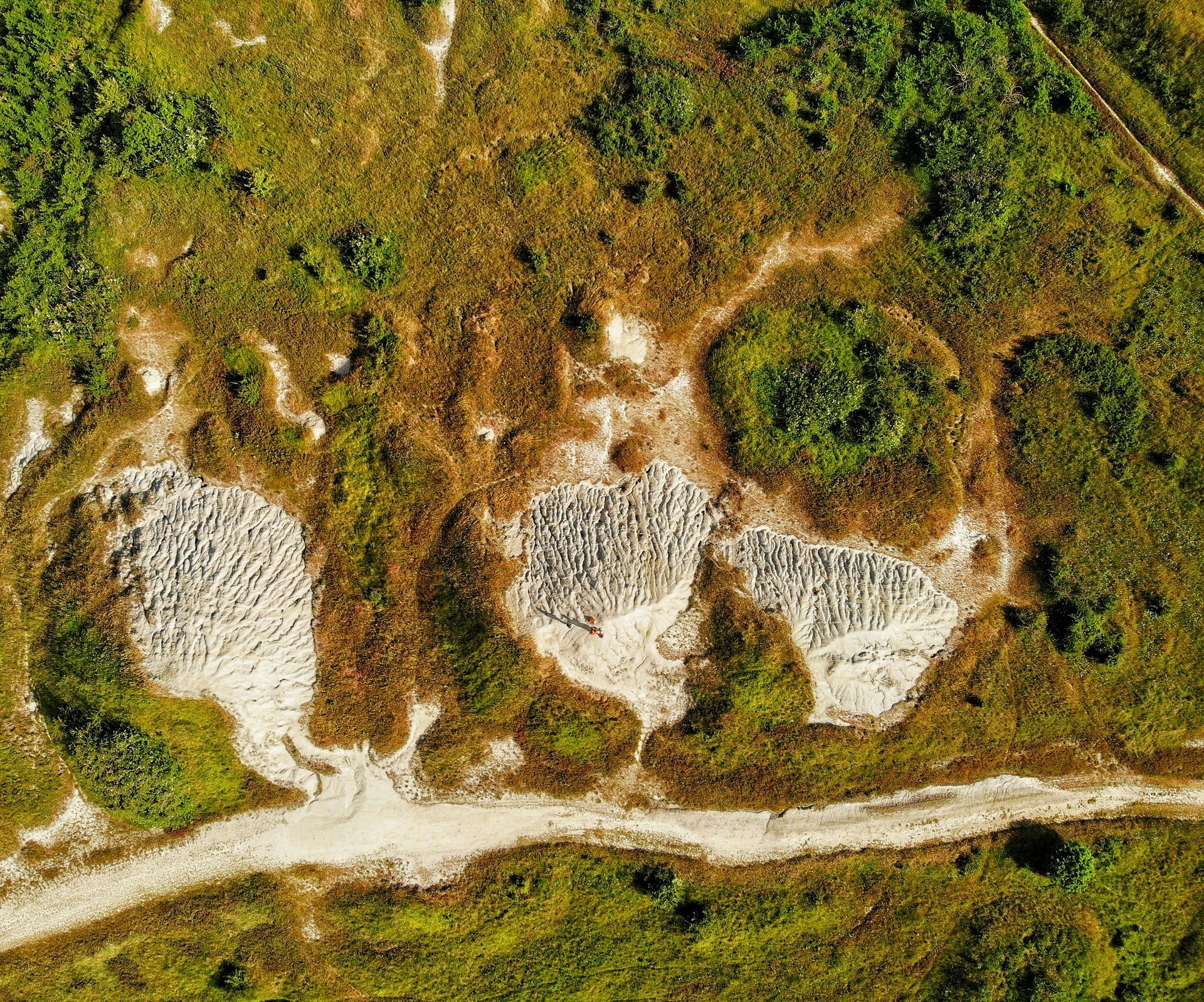 An aerial view of a field with trees and dirt.