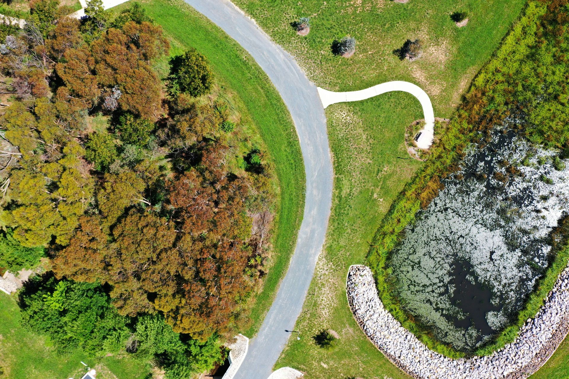 An aerial view of a park with a road , trees , and a pond.