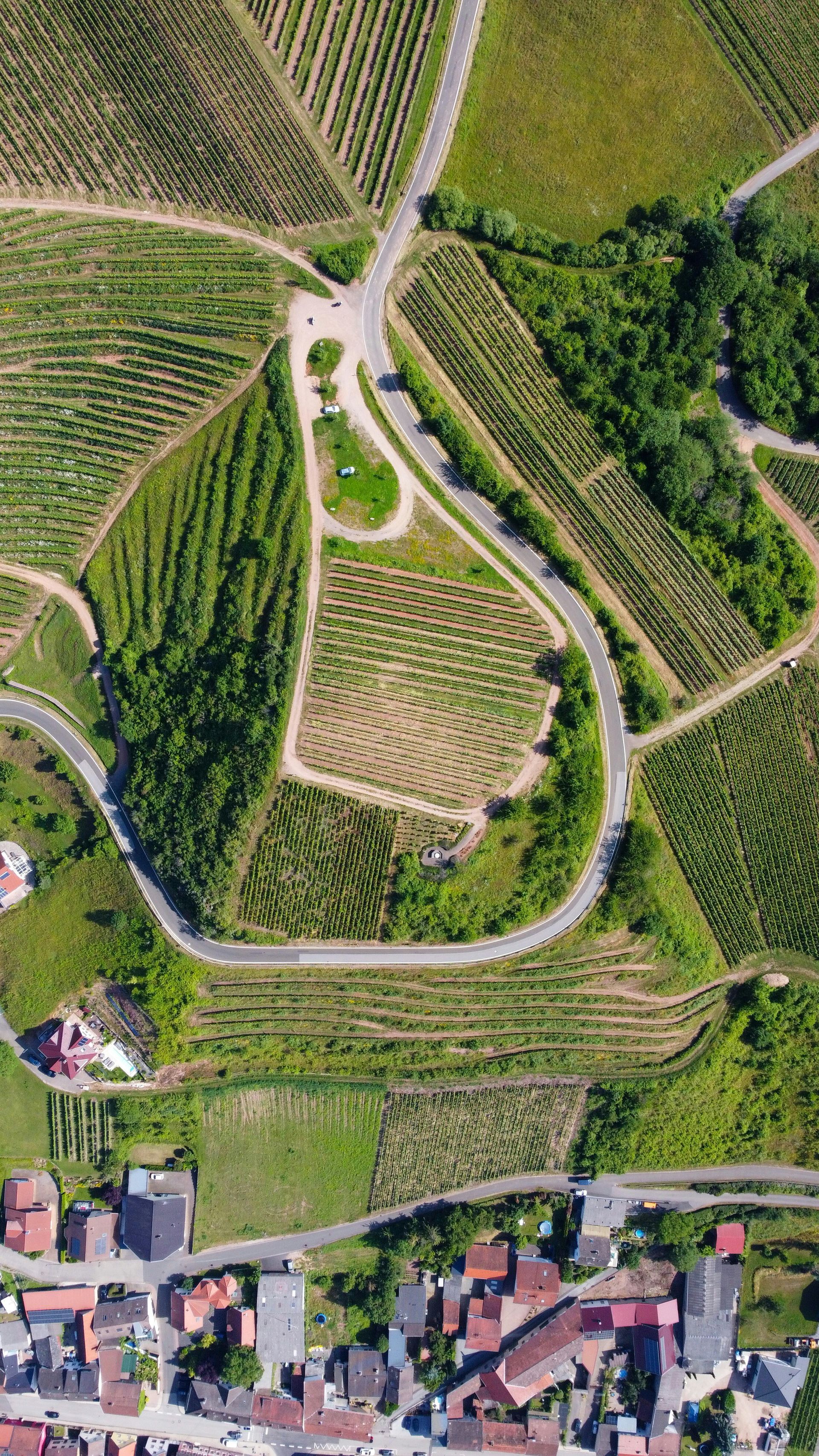 An aerial view of a village surrounded by vineyards and a road.