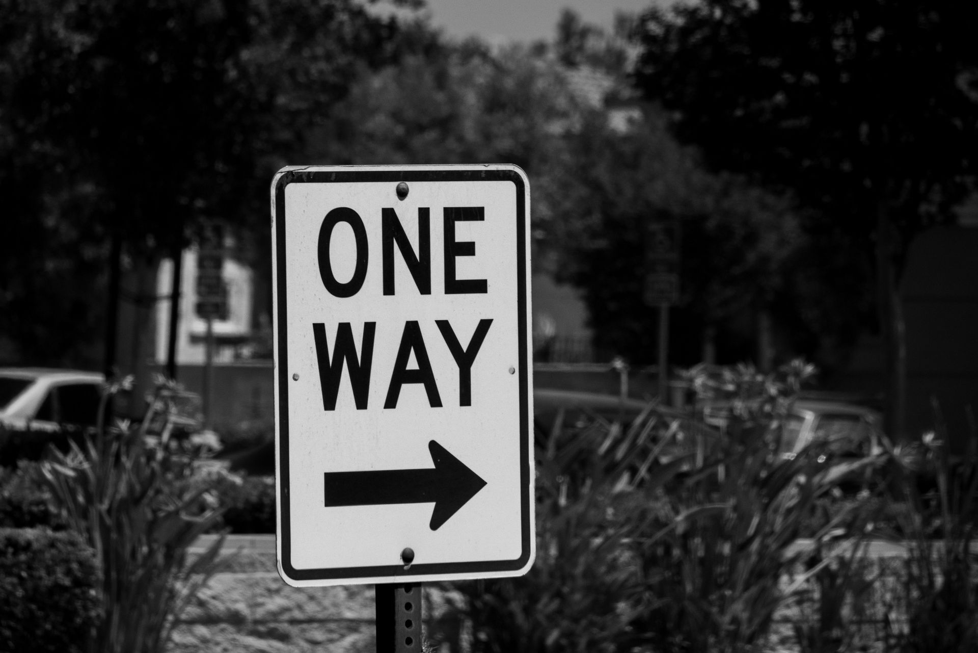 One-way street sign with right-pointing arrow in front of greenery and a parking area.
