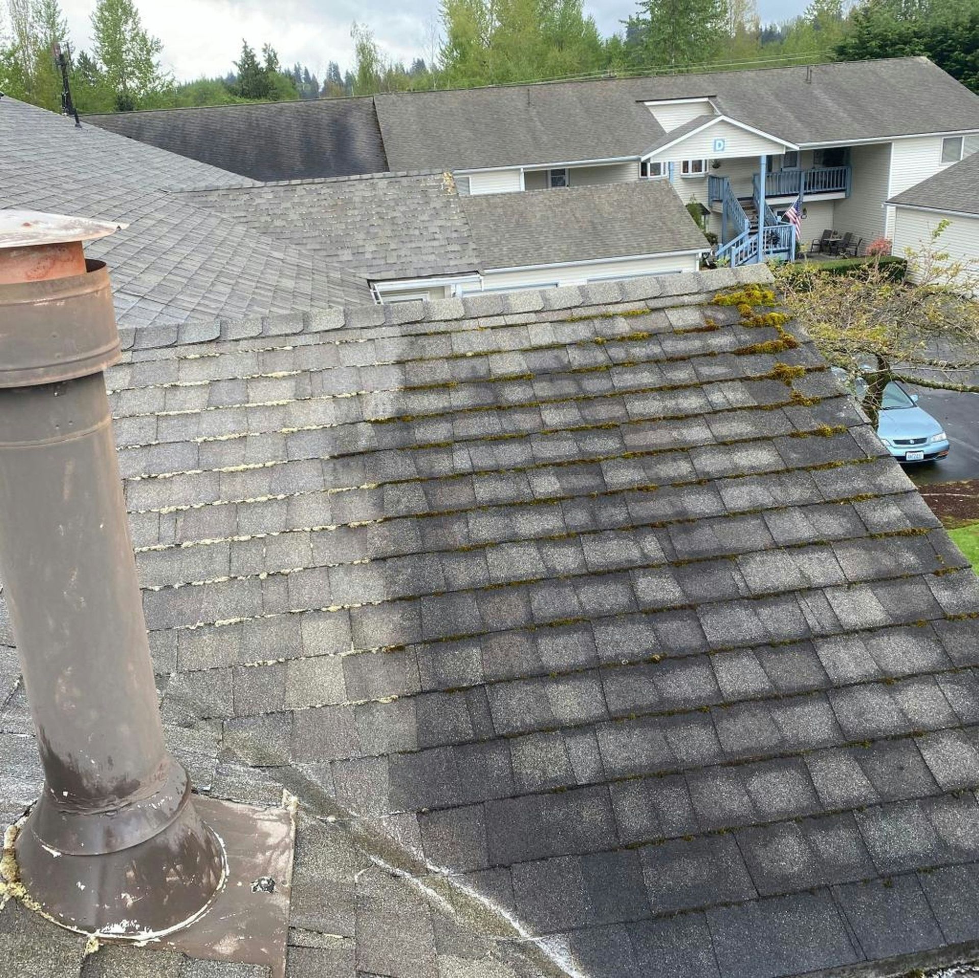 Roof partially cleaned, showing black algae and green moss on asphalt shingles. Chimney present.