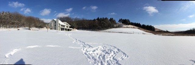 Tracks in snow leading up to a house