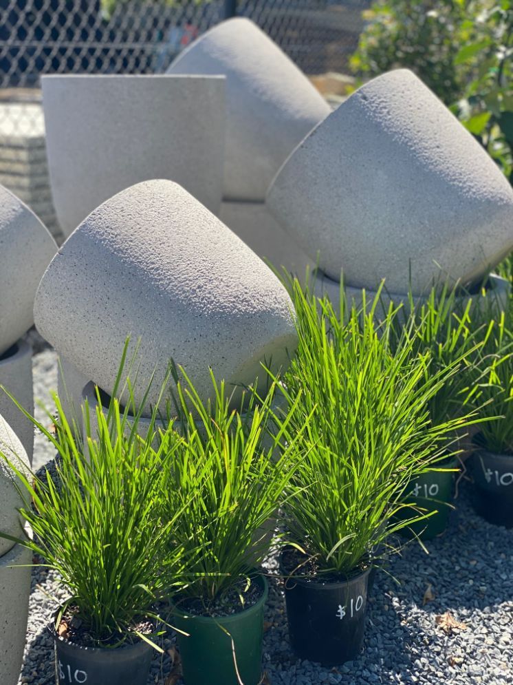 Pots And Plants — Landscaping Supplies in Port Macquarie, NSW