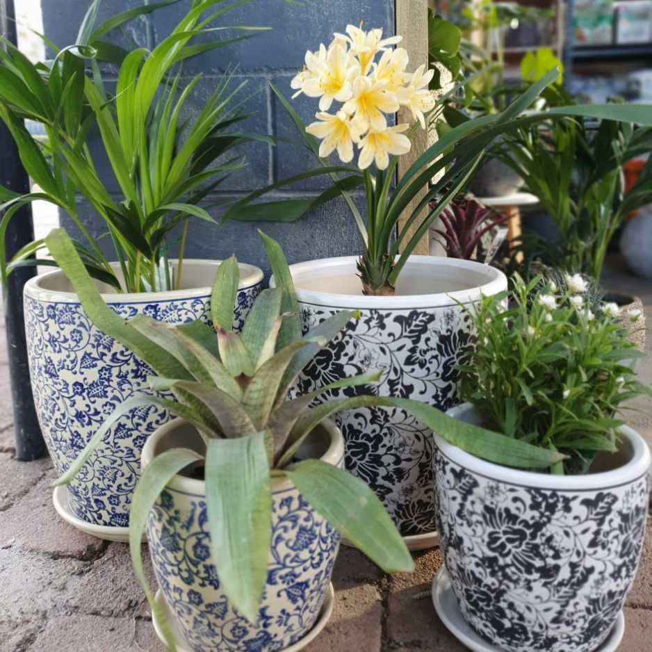 Nursery in Port Macquarie Oxley Landscape Supplies