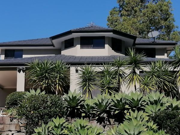 A Large House is Surrounded by Palm Trees and Bushes — Roofing Gold Coast in Tallebudgera, QLD
