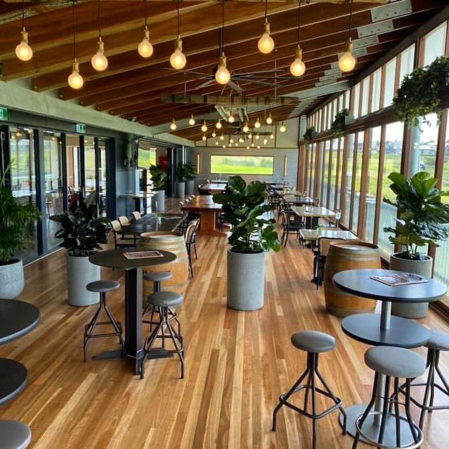 Cozy Place - Wollongong, NSW - D & L Indoor Plant Hire