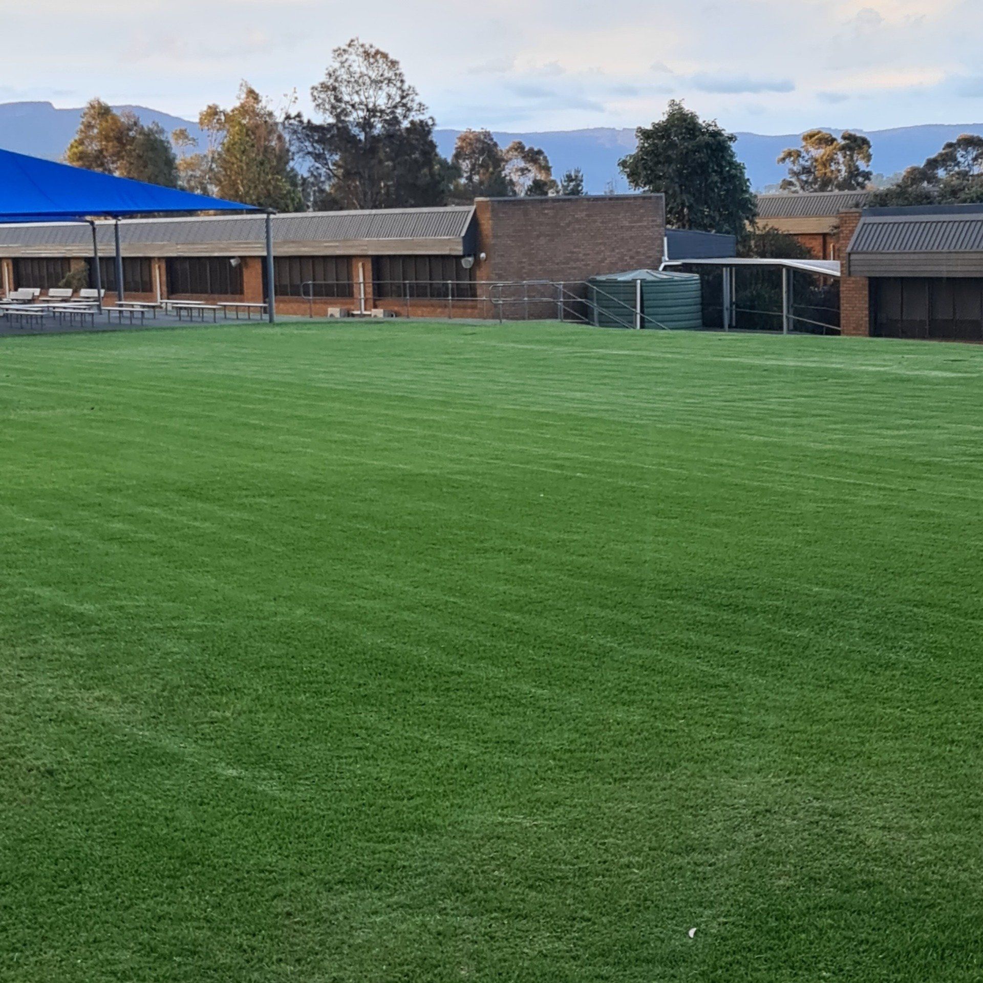 Garden Maintenance - Wollongong, NSW - D & L Indoor Plant Hire