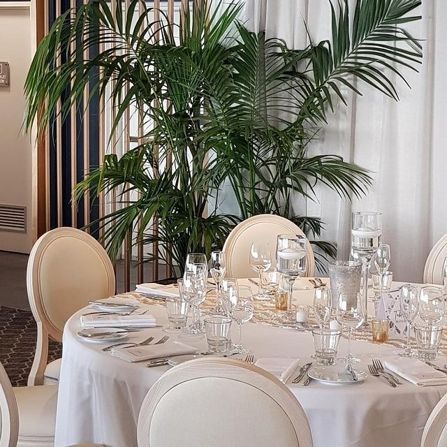Indoor Plants While Dinning - Wollongong, NSW - D & L Indoor Plant Hire