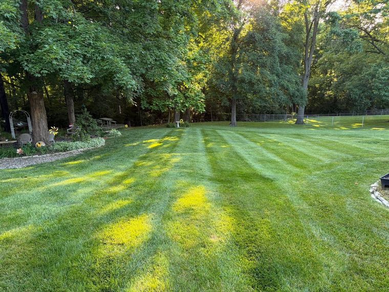 Sunlit green lawn with striped mowing patterns, bordered by trees and shrubs in a park-like yard