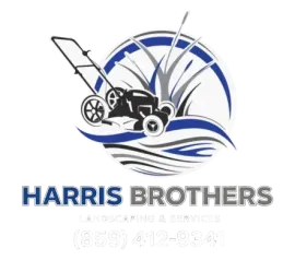 Black lawn mower in front of blue swooshes and grass blades, logo-style graphic