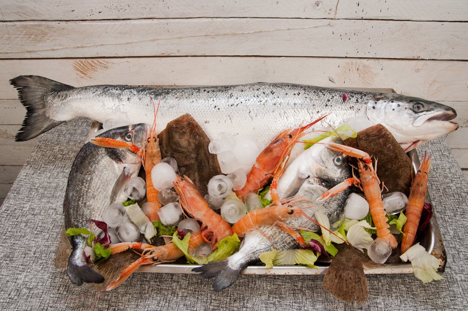 pesce appena pescato