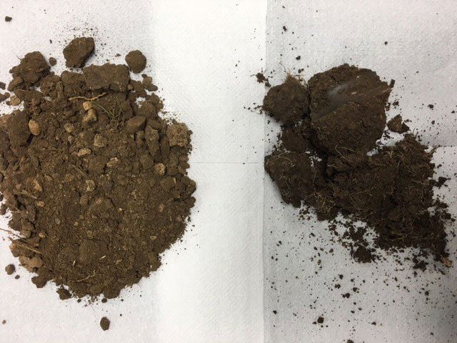Two soil samples being compared.