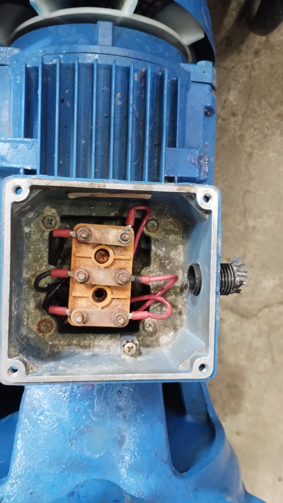 Caja de terminales de motor eléctrico azul con conectores y cables de cobre.