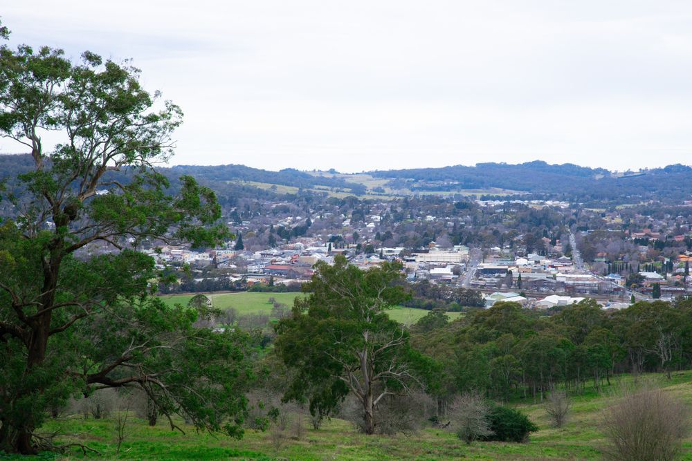A View of a City From a Hill With Trees in the Foreground — South Coast Radiators In Southern Highlands, NSW