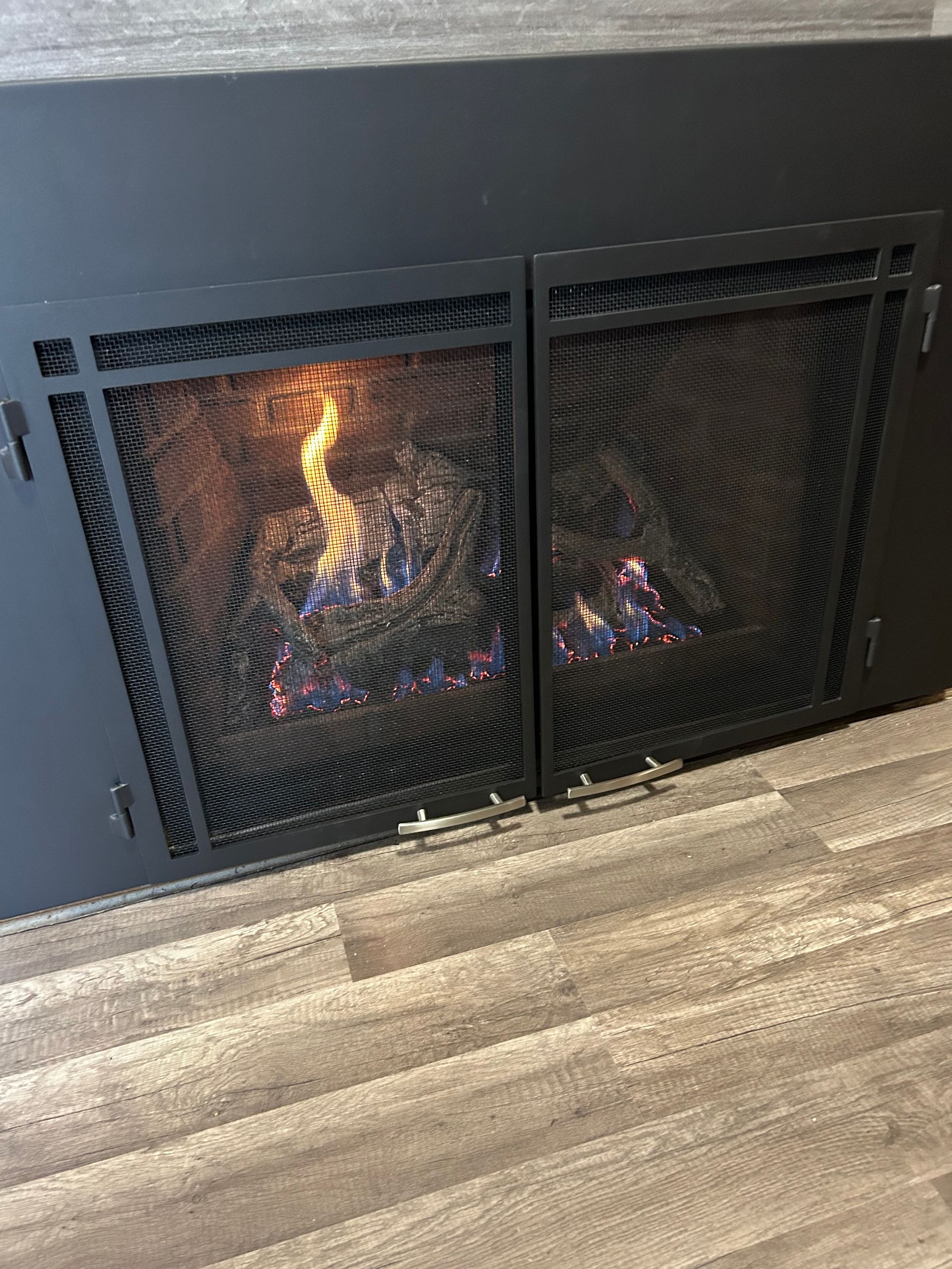 A fireplace with a mesh screen is sitting on a wooden floor.