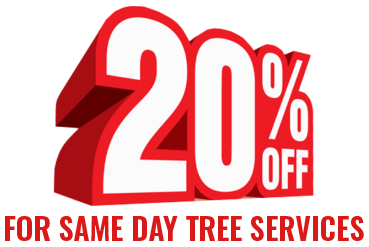 20% same day tree services contact us