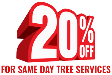20% off discount on same day tree services