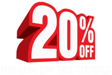 20% off discount on same day tree services