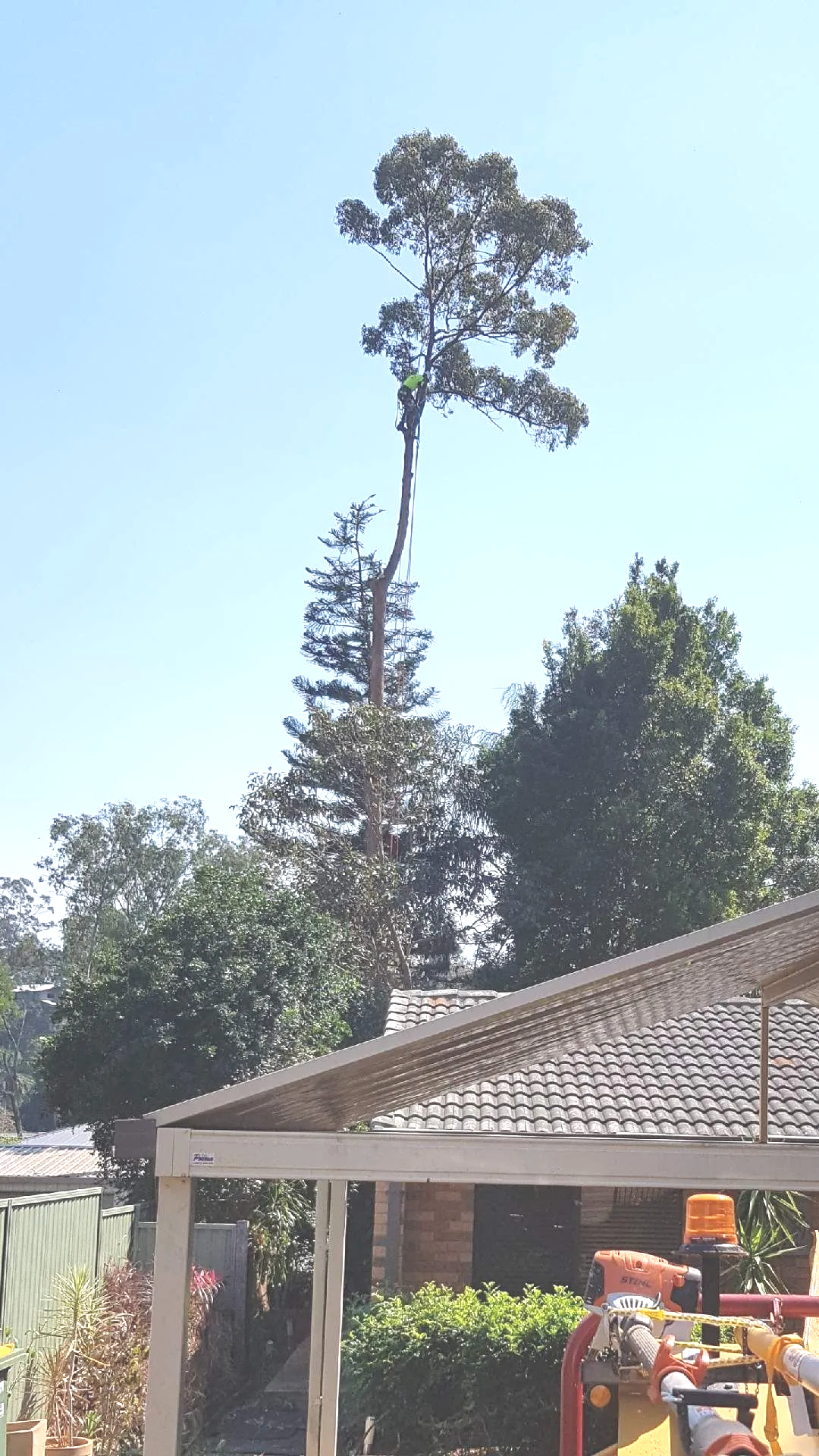 A tree is being cut down in front of a house