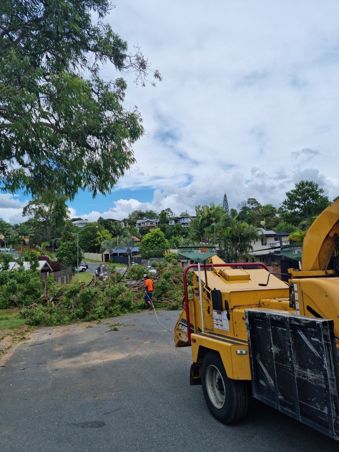 tree lopping services gold coast
