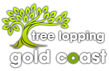 Tree Lopping Gold Coast Logo
