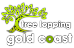 Tree Lopping Gold Coast Logo