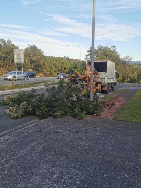 A tree is being removed from the side of the road by a truck.