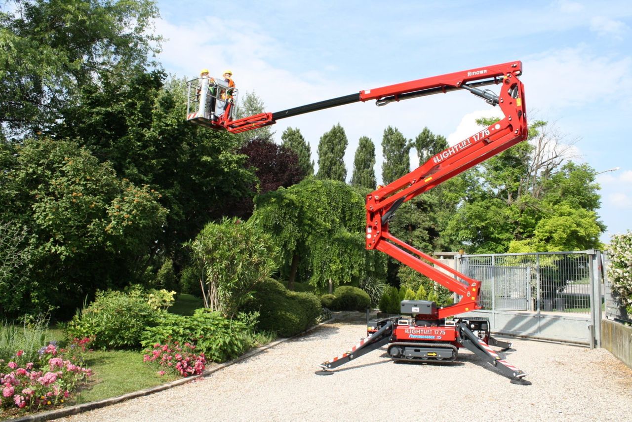 workers timing trees with lift