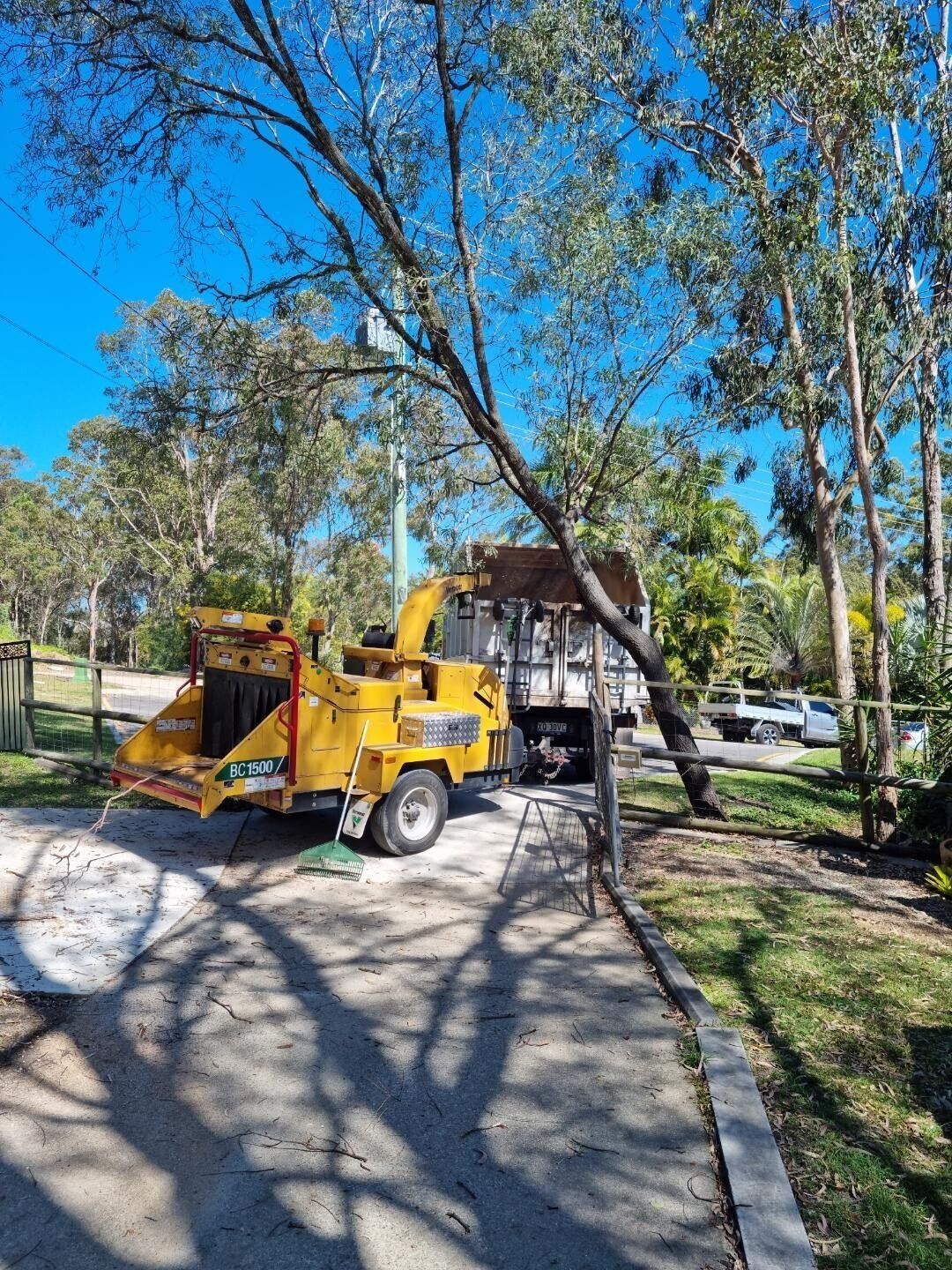 gold coast tree loppers