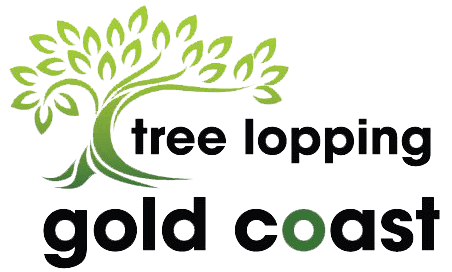 Tree Lopping Gold Coast Logo