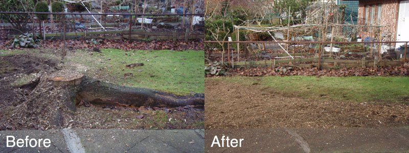 before and after image of stump removal