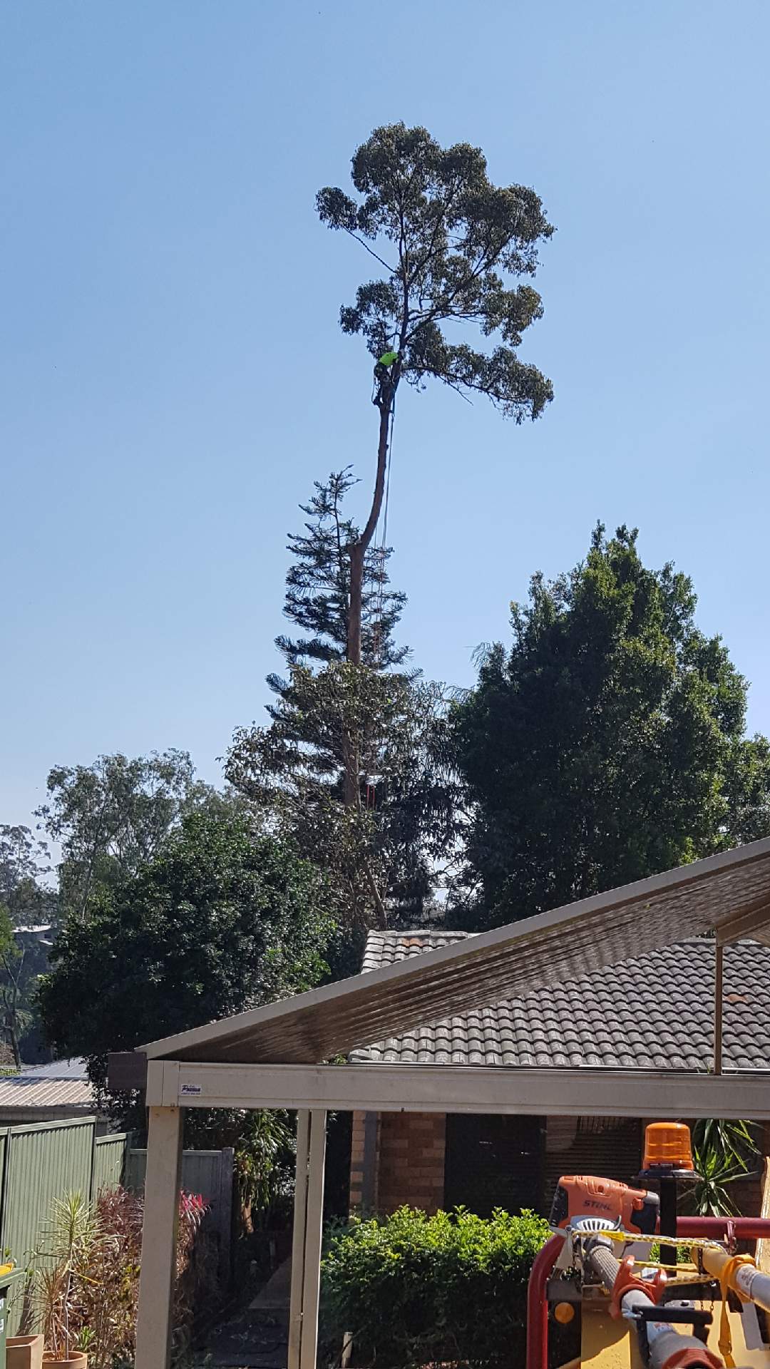A tree is being cut down in front of a house.
