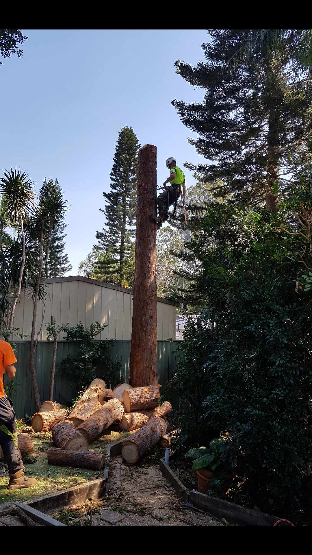 A man is standing on top of a tree stump.