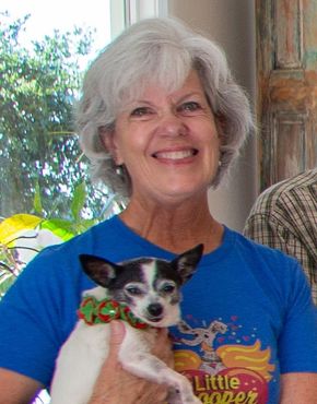 Man holding two small dogs outdoors, one brown and one black, in a green park setting