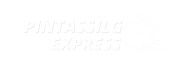 PintassilgoExpress.PT