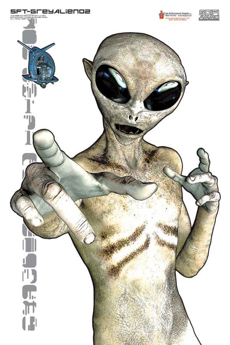 Space Alien Target Grey 02