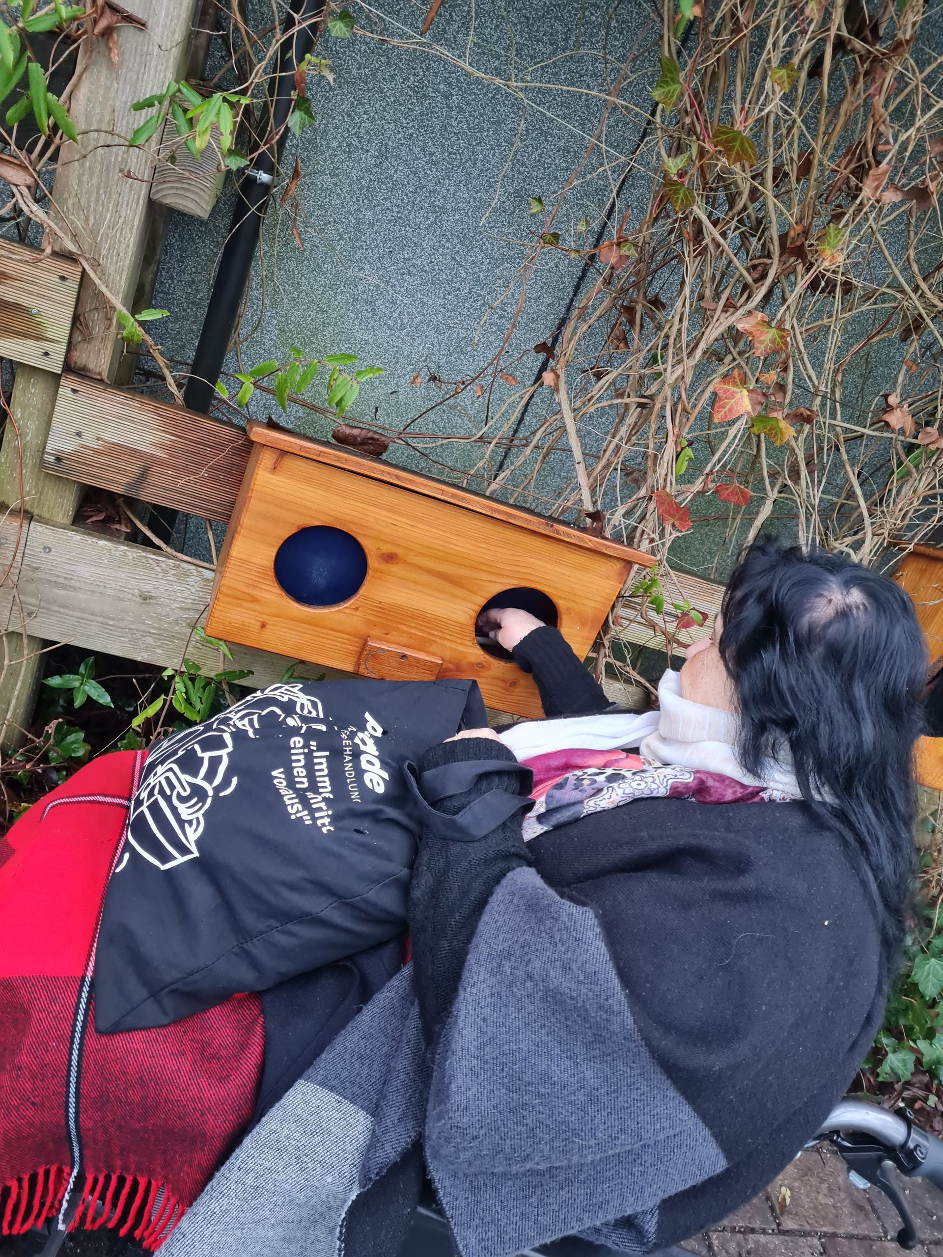 Eine Person greift in ein hölzernes Vogelhaus an einem Zaun, das von Grün umgeben ist.