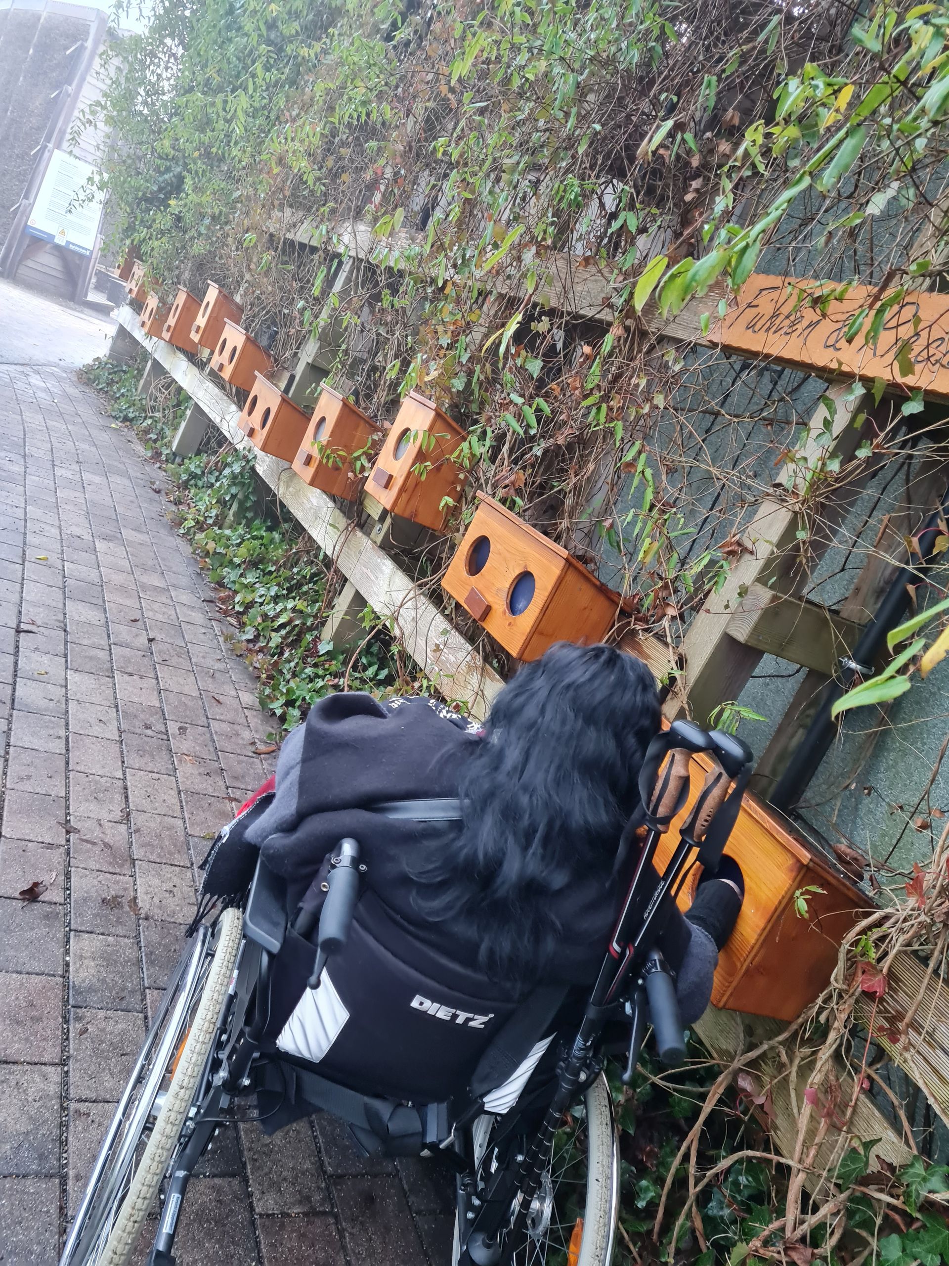 Ein Rollstuhlfahrer betrachtet eine Reihe hölzerner Vogelhäuser, die an einem Zaun befestigt sind. Grünes Laubwerk umgibt die Gegend. Kurgarten in Bad Dürrheim.