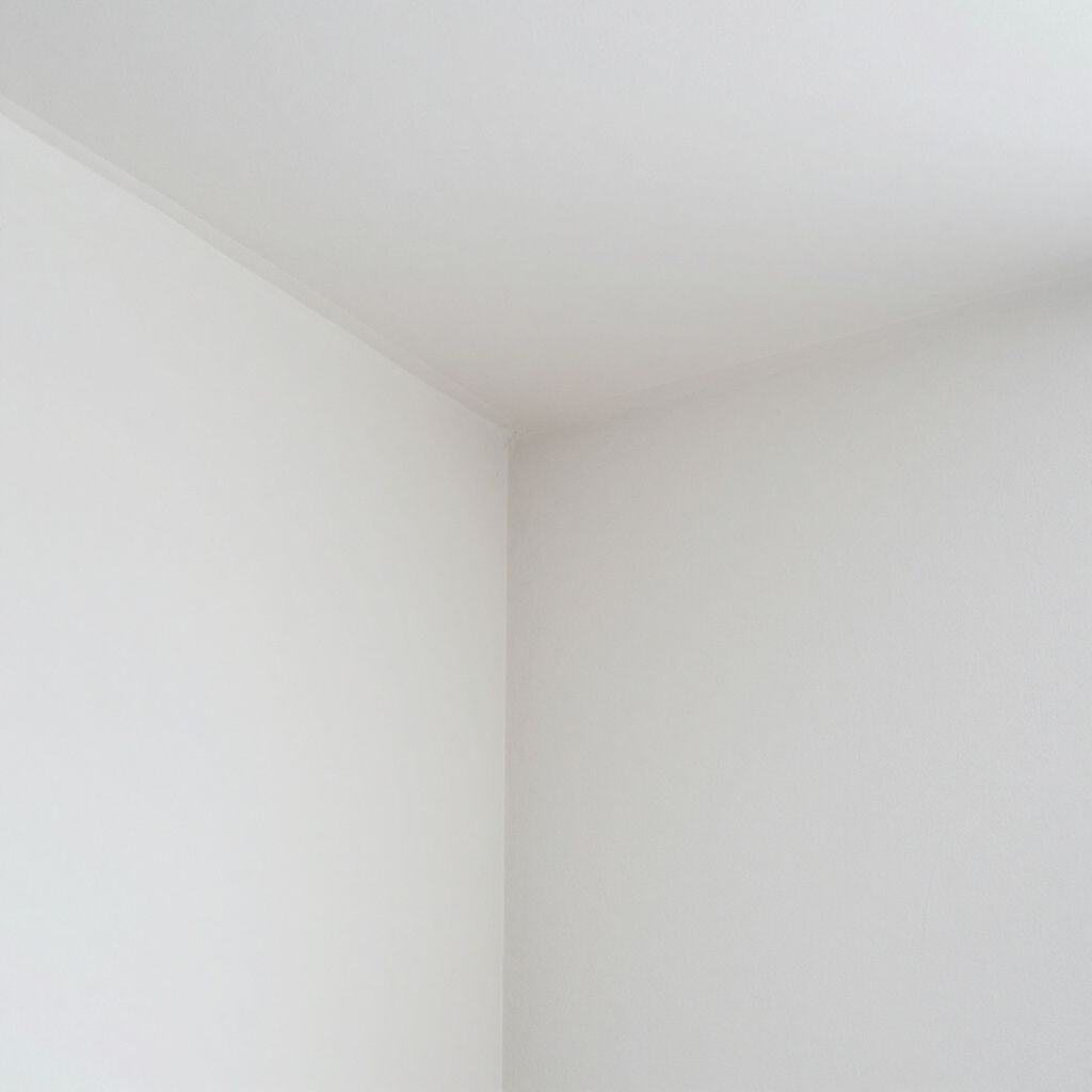 Corner of white walls and ceiling.