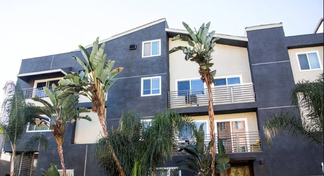 Modern multi-story building with dark blue and beige exterior, palm trees in front.