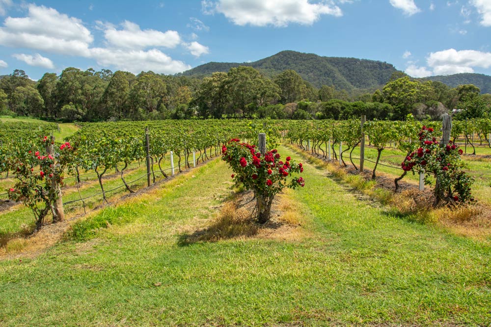 Pokolbin — Air Conditioning Pokolbin, New South Wales