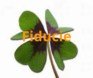 Fiducie