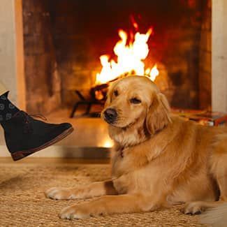 Golden retriever dog lying near a fireplace. A person's boot with patterned socks is nearby. Fire is burning brightly.