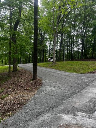 A dirt road going through a lush green forest.